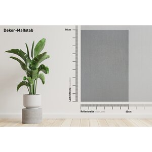 Bodaq RM004 Brushed Middle Silver
